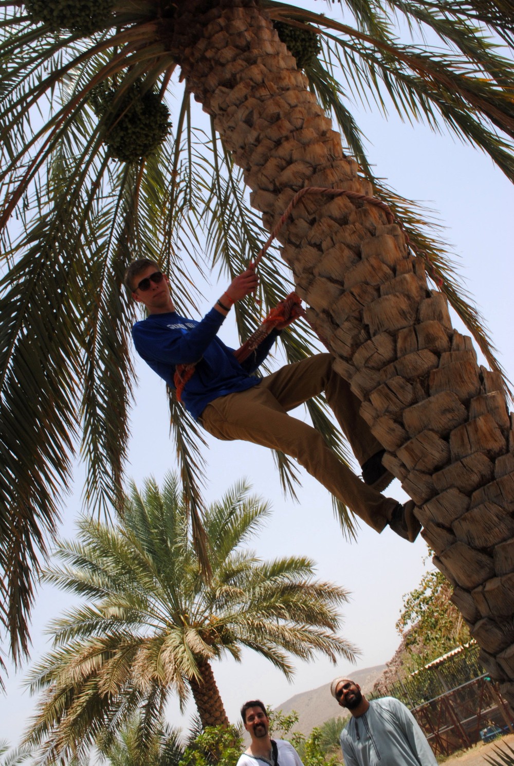 Charlie Creech photo of guy climbing a tree